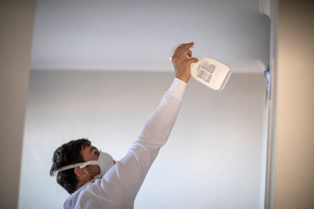 Best Crawl Space Mold Removal  in Riverse, ID
