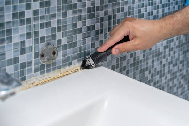 Best Fast Mold Removal  in Riverse, ID