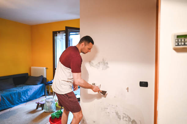 Best Toxic Mold Removal  in Riverse, ID